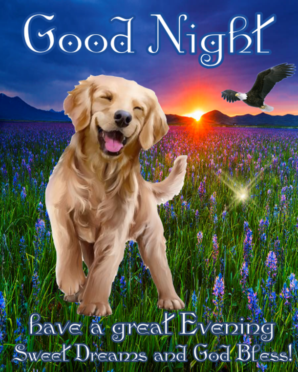 10 Good Evening Quotes To Bless Your Night Daily - picture 7