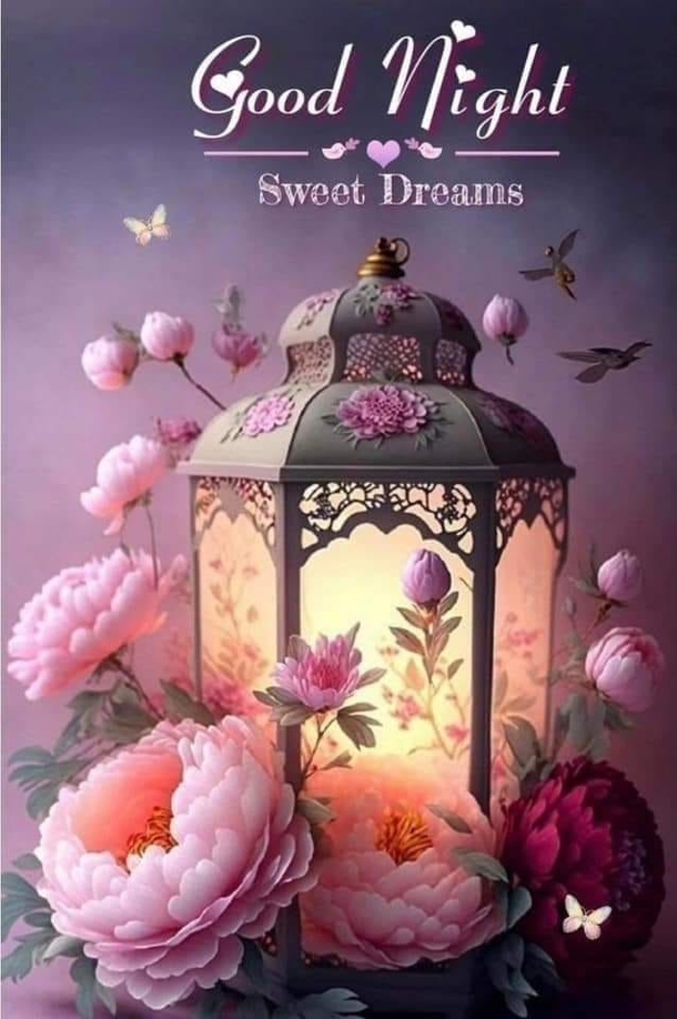 10 Good Evening Wishes That Are So Special And Inspiring! - picture 12