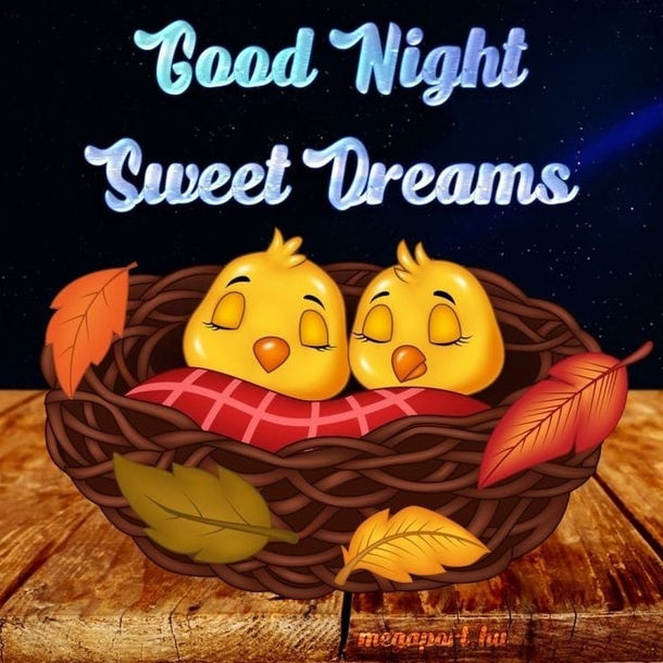 10 Good Evening Wishes That Are So Special And Inspiring! - picture 5