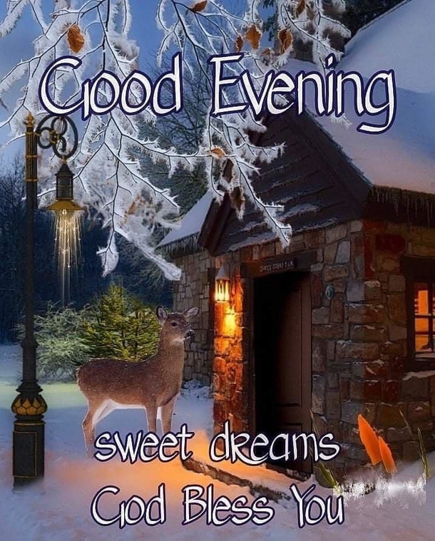 10 Good Evening Wishes That Are So Special And Inspiring! - picture 7