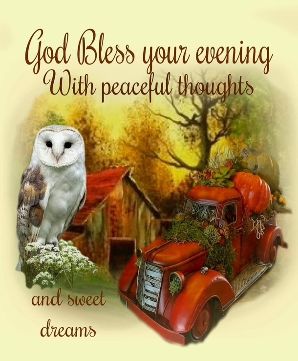 10 Good Evening Wishes That Are So Special And Inspiring! - picture 9