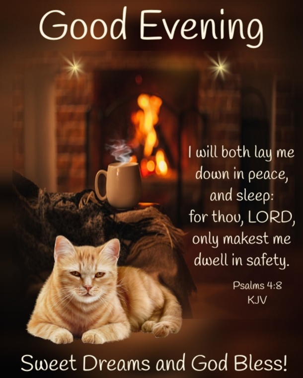 10 Good Evening Wishes To Share Throughout The Night - picture 11