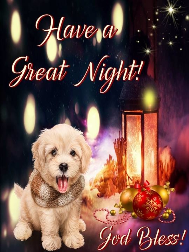 10 Good Evening Wishes To Share Throughout The Night - picture 13