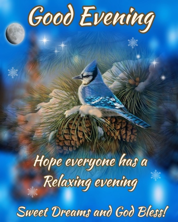 10 Good Evening Wishes To Share Throughout The Night - picture 3