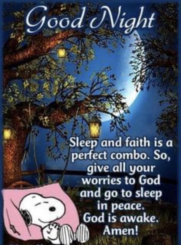 10 Good Evening Wishes To Share Throughout The Night - picture 5