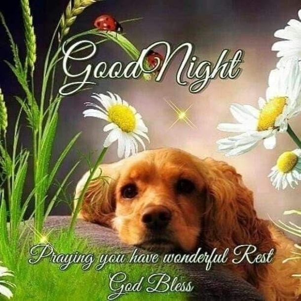 10 Good Evening & Good Night Blessings To End Your Day - picture 12