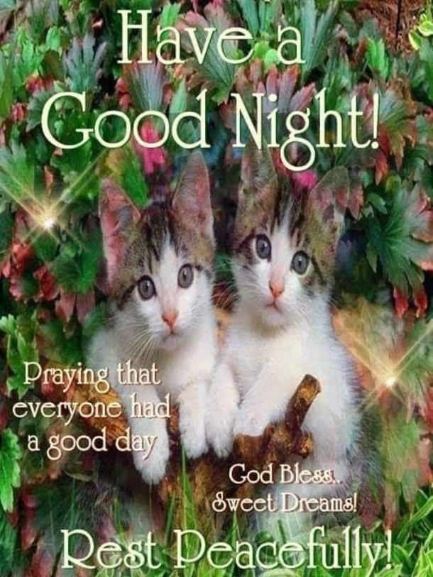 10 Good Evening & Good Night Blessings To End Your Day - picture 2