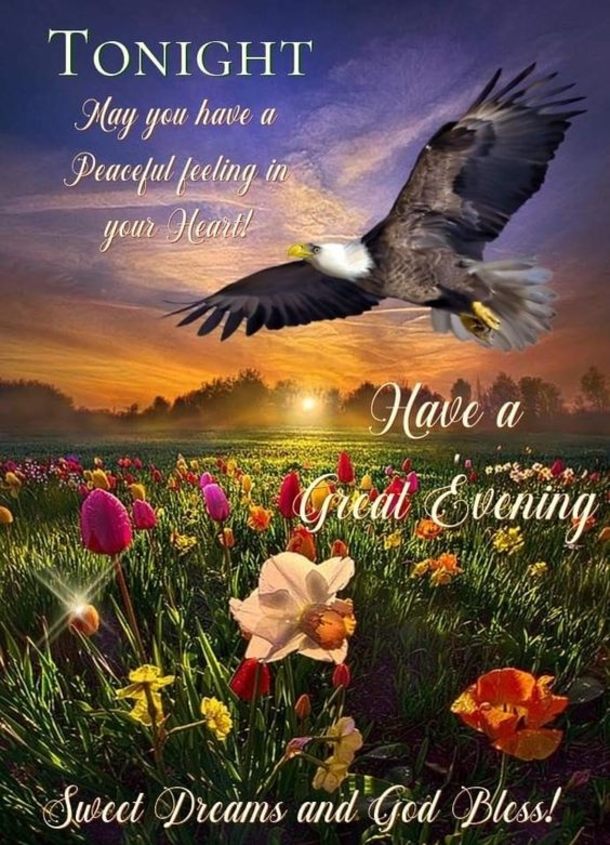 10 Good Evening & Good Night Blessings To End Your Day - picture 7