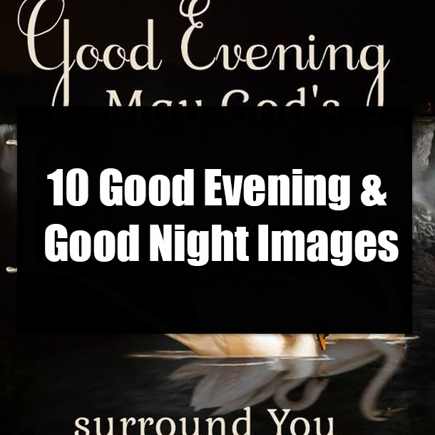 10 Good Evening & Good Night Images