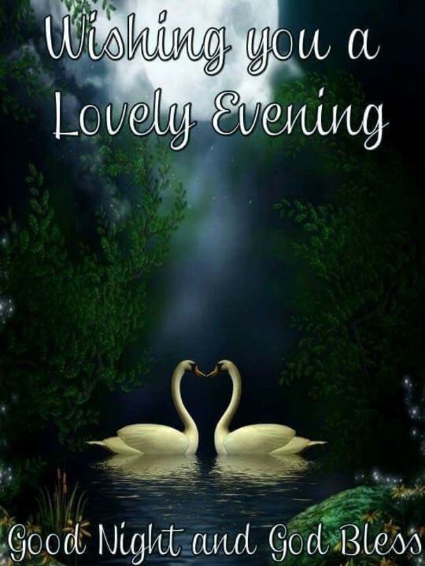 10 Good Evening & Good Night Images - picture 11