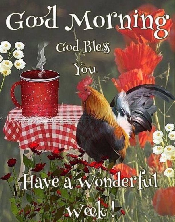 10 Good Morning 2023 Greetings, Wishes And Blessings To Bring A Beautiful Day! - picture 13