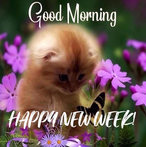 10 Good Morning 2023 Greetings, Wishes And Blessings To Bring A Beautiful Day! - picture 2