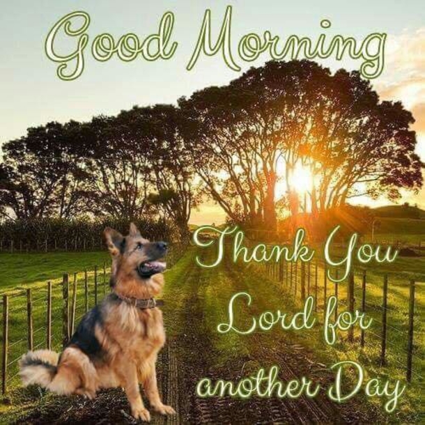 10 Good Morning 2023 Greetings, Wishes And Blessings To Bring A Beautiful Day! - picture 3