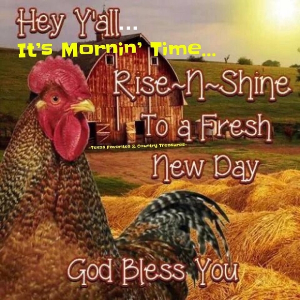 10 Good Morning 2023 Greetings, Wishes And Blessings To Bring A Beautiful Day! - picture 6