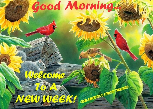 10 Good Morning 2023 Greetings, Wishes And Blessings To Bring A Beautiful Day! - picture 7