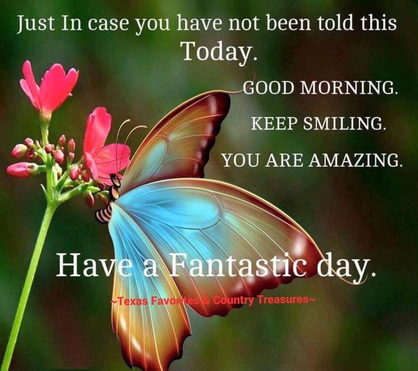 10 Good Morning 2023 Greetings, Wishes And Blessings To Bring A Beautiful Day! - picture 8