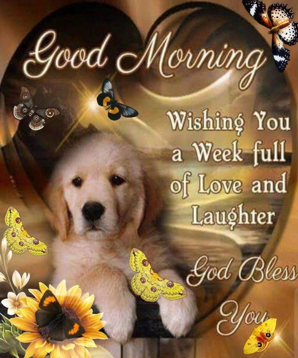10 Good Morning 2023 Greetings, Wishes And Blessings To Bring A Beautiful Day! - picture 9