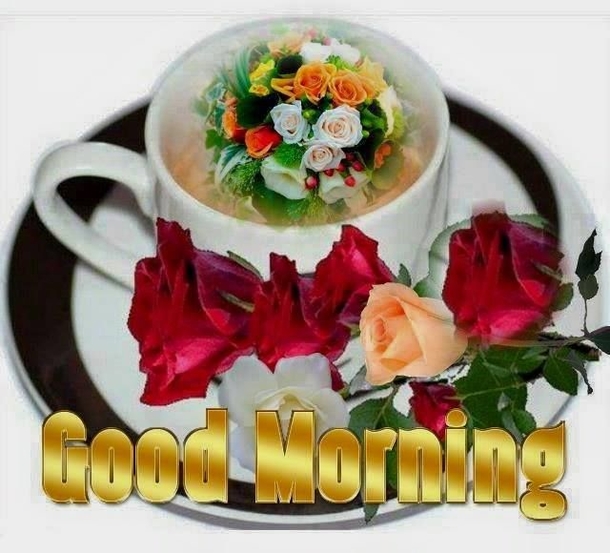 10 Good Morning Beautiful Blessings For The Day - picture 7