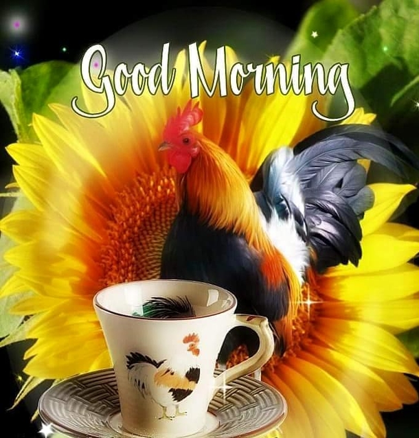 10 Good Morning Blessings To Inspire You Daily - picture 6
