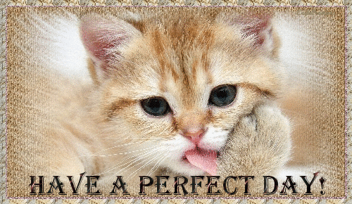 10 Good Morning Day Quotes And Comments - picture 3