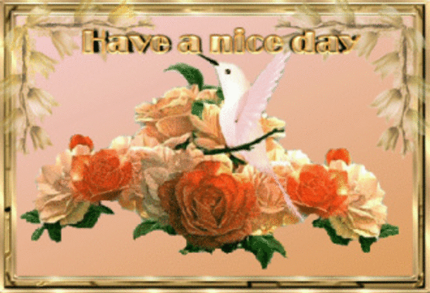 10 Good Morning Day Quotes And Comments - picture 4