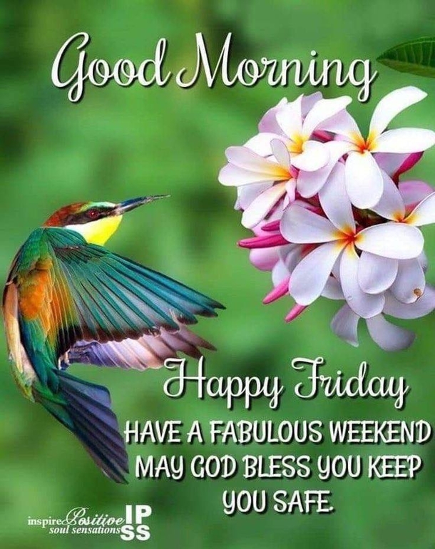 10 Good Morning Friday Quotes Filled With Happiness, Love And Peace - picture 6