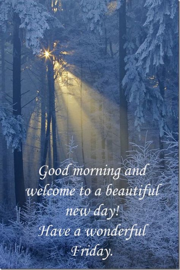 10+ Good Morning Friday Quotes That Will Help You Have A Beautiful Morning - picture 2