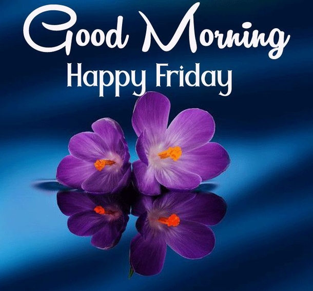 10+ Good Morning Friday Quotes That Will Help You Have A Beautiful Morning - picture 9