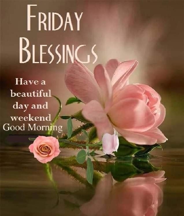 10 Good Morning Friday Quotes to Start Your Weekend Right - picture 4