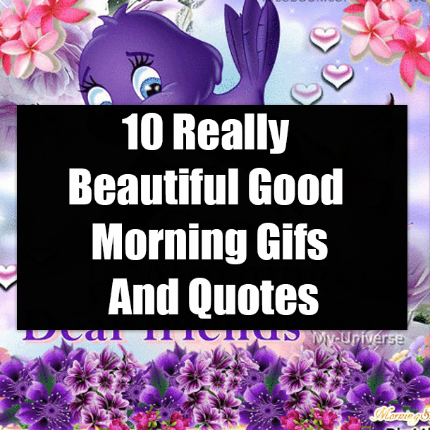 10 Good Morning Friend Quotes & Gifs