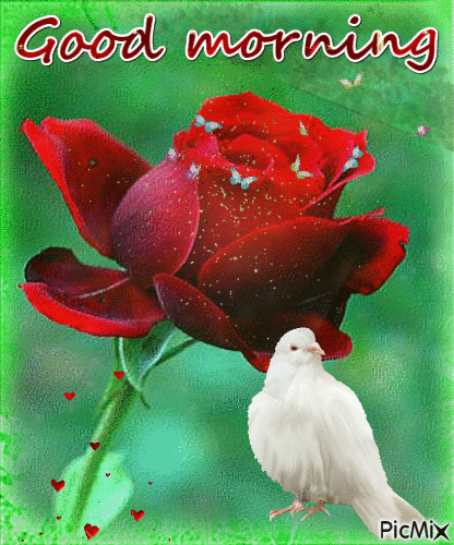 10 Good Morning Gif Images And Pictures With Flowers To Share - picture 2