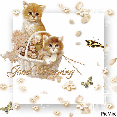 10 Good Morning Gif Images And Pictures With Flowers To Share - picture 7