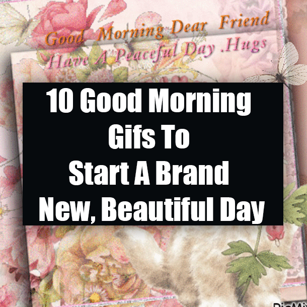 10 Good Morning Gifs To Start A Brand New, Beautiful Day