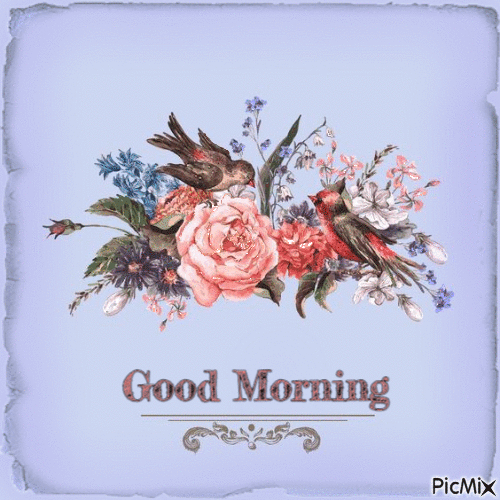 10 Good Morning Gifs To Start A Brand New, Beautiful Day - picture 11