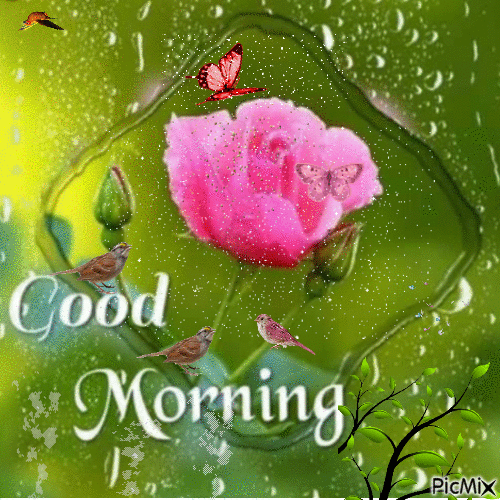 10 Good Morning Gifs To Start A Brand New, Beautiful Day - picture 8