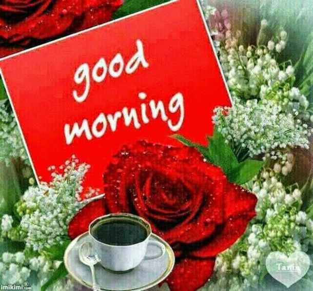 10 Good Morning Greetings For Family & Friends - picture 2