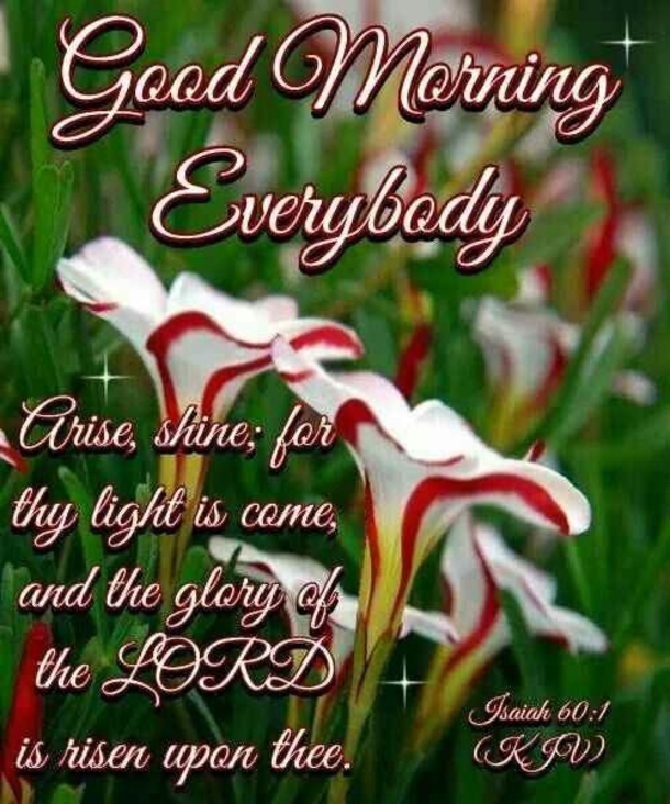 10 Good Morning Greetings For Family & Friends - picture 6