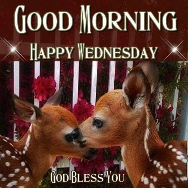 10+ Good Morning Greetings For Wednesday - picture 10