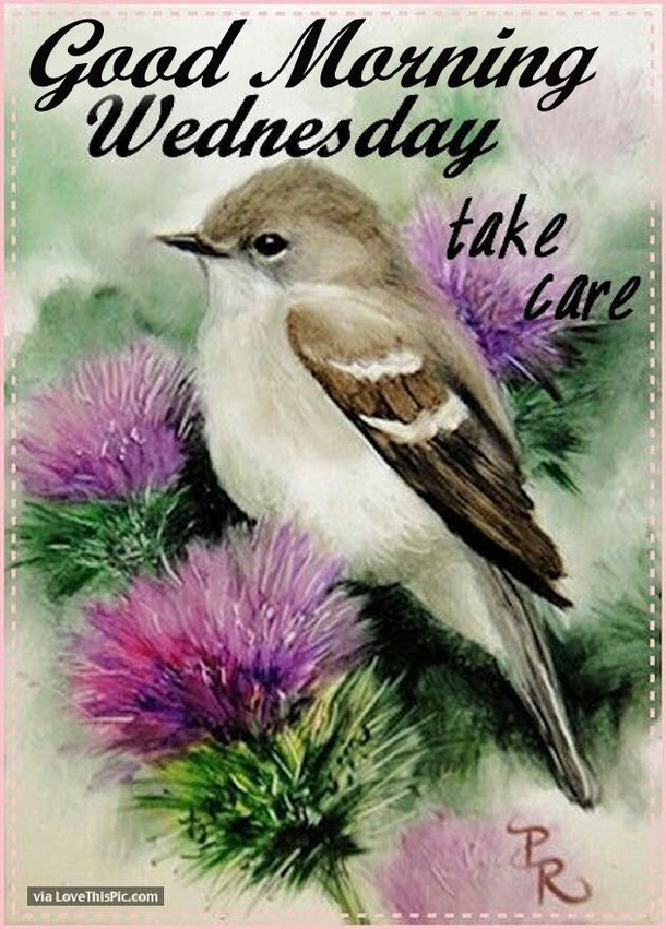 10+ Good Morning Greetings For Wednesday - picture 4