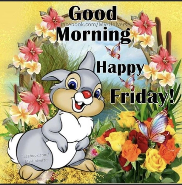 10 Good Morning Happy Friday Quote Pictures For A Lovely Day - picture 11
