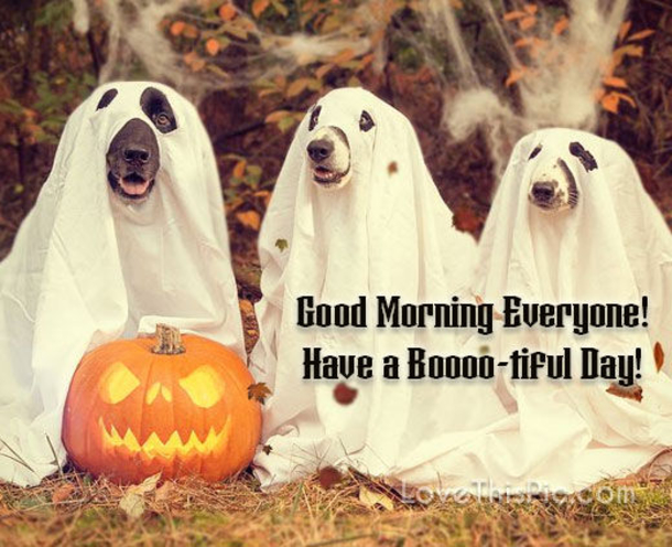 10 Good Morning, Happy Halloween Quotes For 2021 - picture 2