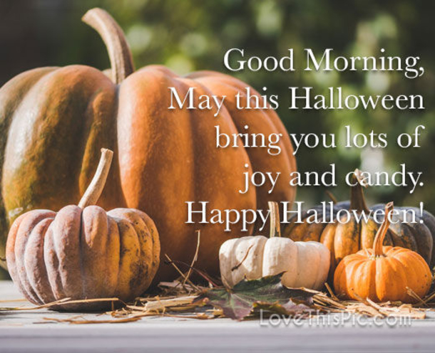 10 Good Morning, Happy Halloween Quotes For 2021 - picture 5