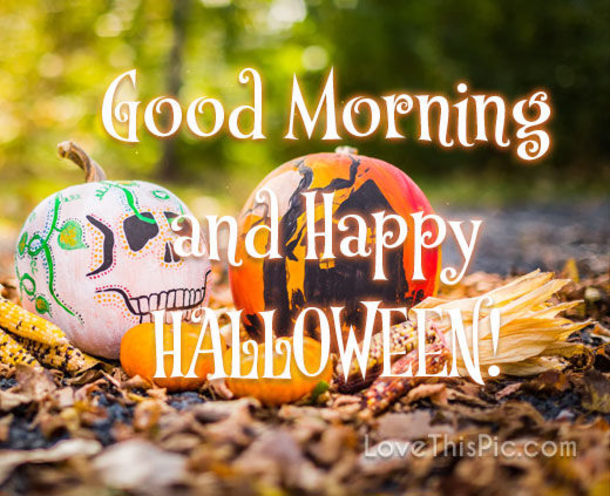 10 Good Morning, Happy Halloween Quotes For 2021 - picture 7