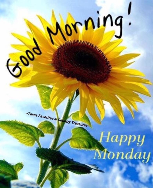 10 Good Morning, Happy Monday Quotes To Share 2023 - picture 11