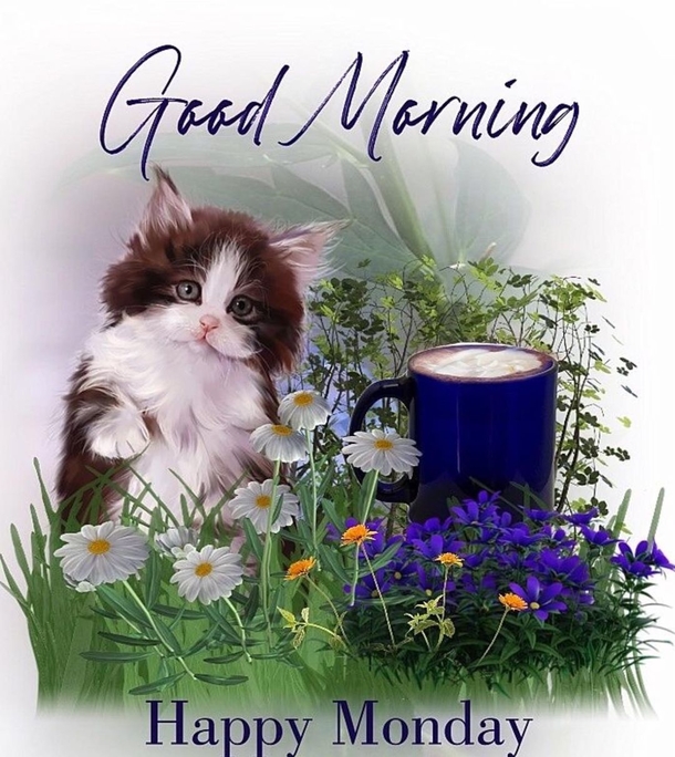 10 Good Morning, Happy Monday Quotes To Share 2023 - picture 6
