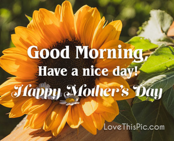 10 Good Morning, Happy Mother's Day Quotes, Sayings And Wishes For Mom! - picture 9