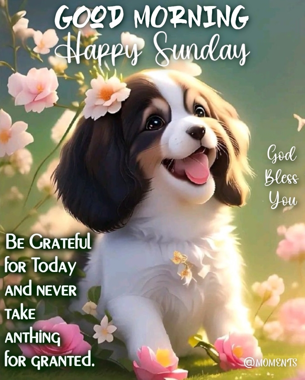 10 Good Morning, Happy Sunday Quotes To Surround You With Love & Blessings - picture 10