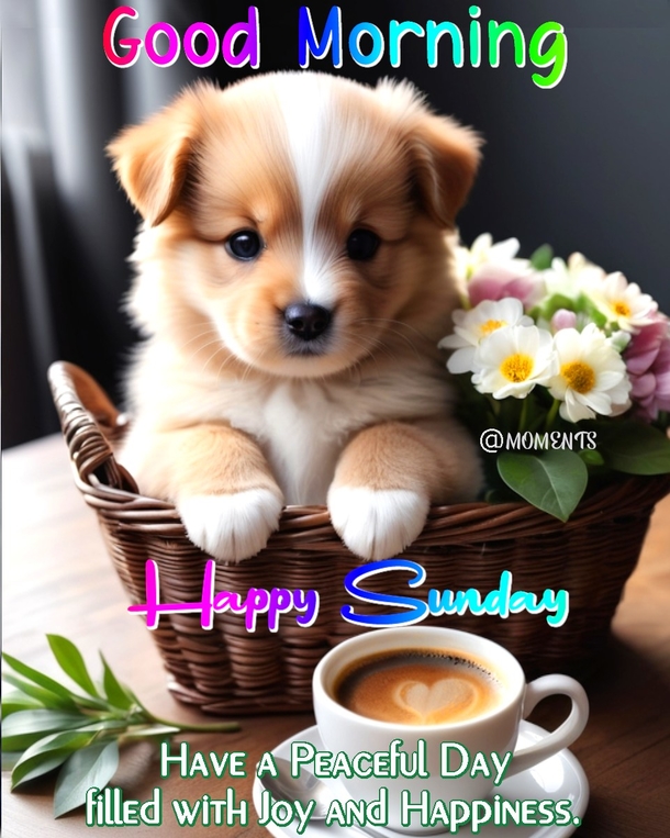 10 Good Morning, Happy Sunday Quotes To Surround You With Love & Blessings - picture 11