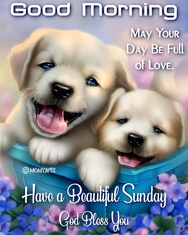 10 Good Morning, Happy Sunday Quotes To Surround You With Love & Blessings - picture 4