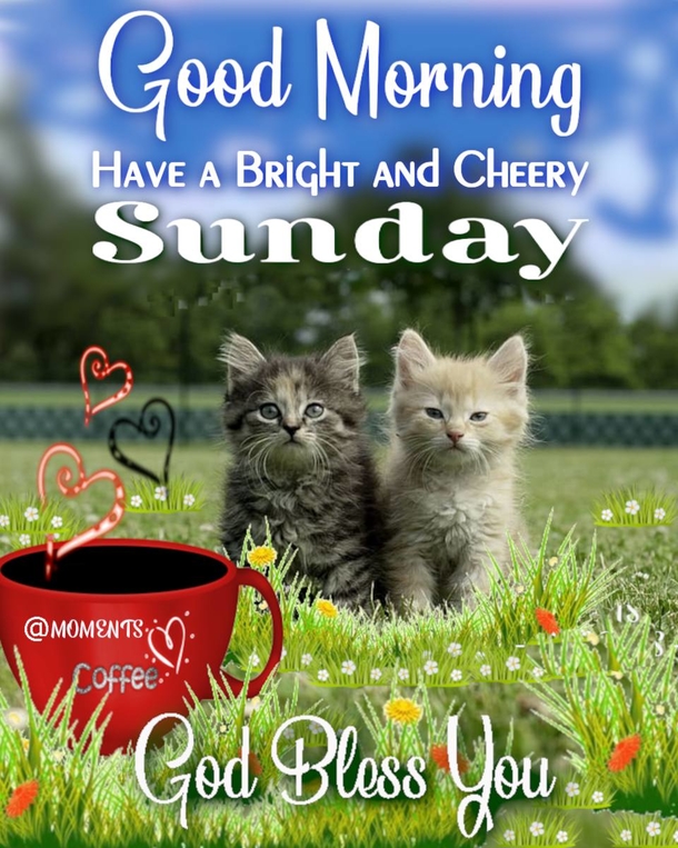 10 Good Morning, Happy Sunday Quotes To Surround You With Love & Blessings - picture 6